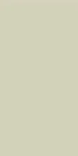 Плитка Palette Skin 30x60