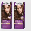 Крем-краска "Palette ICC", оттенок GK4 "Благородный каштан"