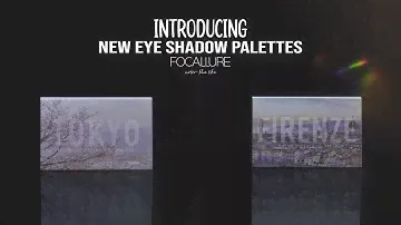 Introducing Brand New Eye Shadow Palettes – Focallure Go Travel Palettes