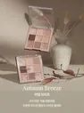 dasique Shadow Palette 10 Autumn Breeze 8g