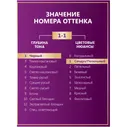 Крем-краска Palette для волос стойкая 1-1, 110мл