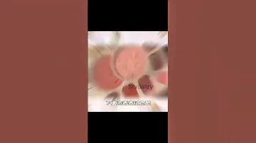 12-Color Angel Cupid Embossed Eyeshadow Palette Nude Glitter Pearly Eye Shadow Long Lasting Korean