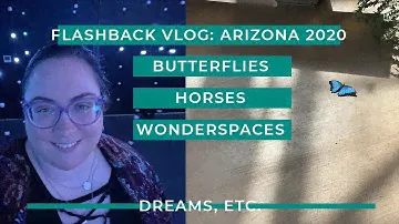 Butterfly Wonderland 🦋 & Wonderspaces | Arizona 2020