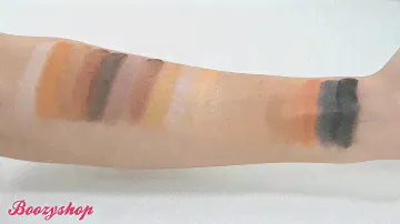 Revolution Pro Regeneration Palette Goldmine