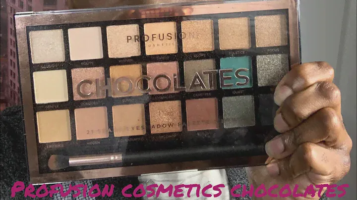 B.O.A.B Profusion Cosmetics Chocolates Eye Shadow Palette Review