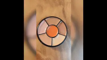 INSIGHT🌸🌼 Natural Powder Pro Concealer Palette 🌸🏵️ Link in description 👇like and subscribe😚👍 #short