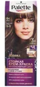 Palette Стойкая крем-краска для волос, G4 (5-5) Какао, защита от вымывания цвета 110 мл
