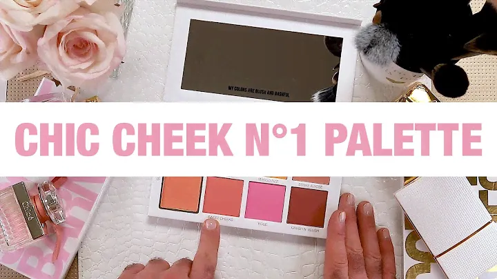 Scott Barnes TV - Chic Cheek N°1 Blush Palette Breakdown