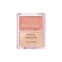 Палетка для лица Blush & Highlighter Duo Face Palette Тон 01