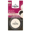 Пудра тонирующая для волос Palette Roor Retouch (3 г)