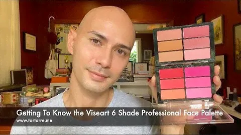 Getting To Know The Viseart 6 Shade Professional Face Palette I Rose/Coral X Plum/Bronze Palette
