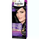 PALETTE N 1 Черный