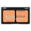 Blush Affair Cream & Powder Palette 020