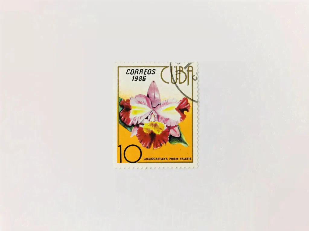 Марка «Орхидеи / Laeliocattleya Prism Palette» 1986 год. 10 сентаво. Гашеная-0