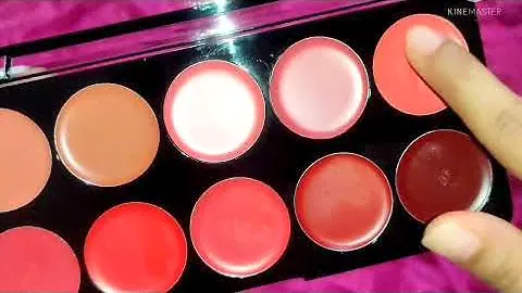 Swiss Beauty Matte Lip Palette (01) 10 shade in just for Rs. 349 #swissbeauty#lipstick