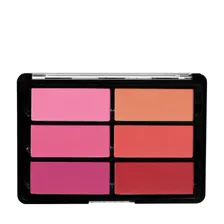 BLUSH PALETTE ROSE/CORAL