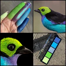 EYESHADOWS PALETTE E18 PARADISE TANAGER